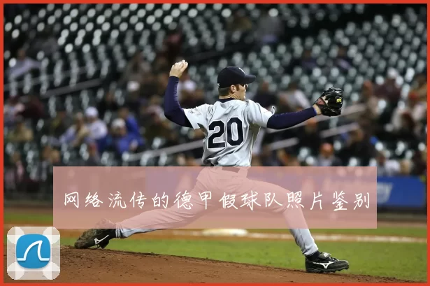 网络流传的德甲假球队照片鉴别