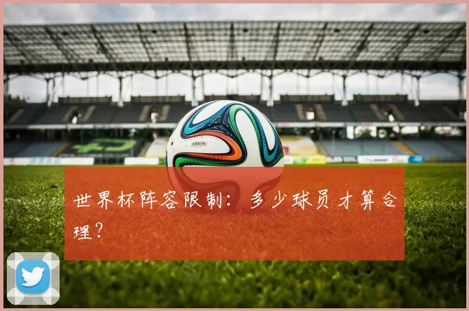 世界杯阵容限制：多少球员才算合理？