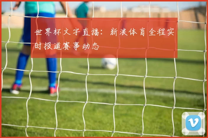 世界杯文字直播：新浪体育全程实时报道赛事动态