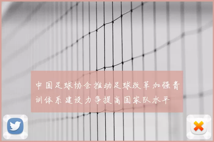 中国足球协会推动足球改革加强青训体系建设力争提高国家队水平
