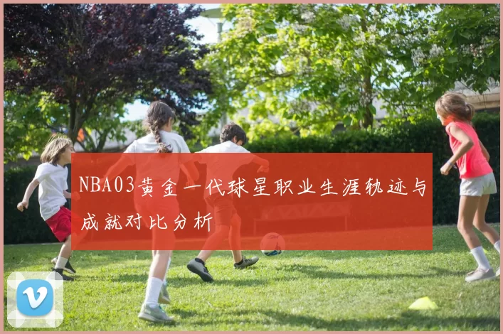 NBA03黄金一代球星职业生涯轨迹与成就对比分析
