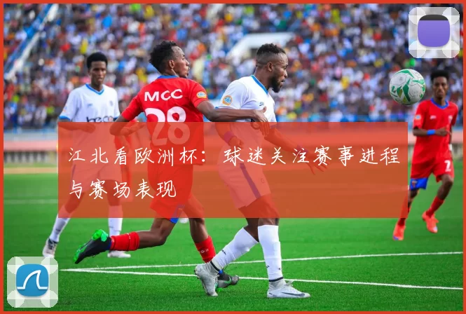 江北看欧洲杯：球迷关注赛事进程与赛场表现