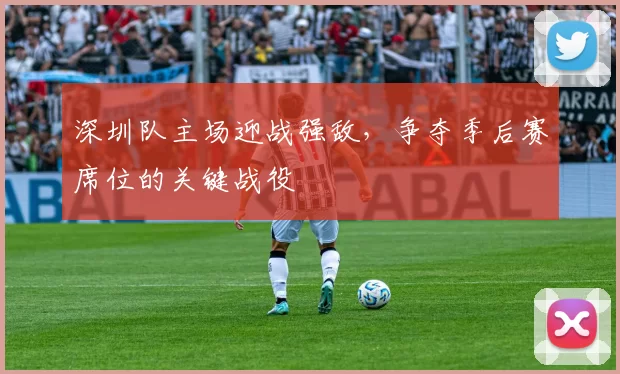 深圳队主场迎战强敌，争夺季后赛席位的关键战役