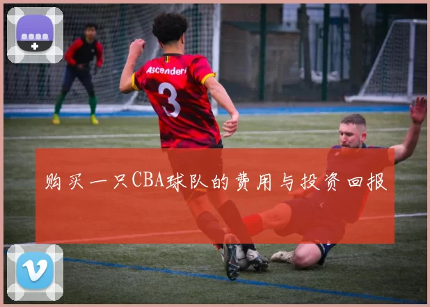 购买一只CBA球队的费用与投资回报