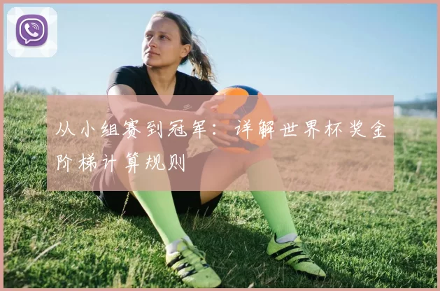从小组赛到冠军：详解世界杯奖金阶梯计算规则