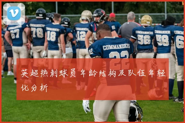 英超热刺球员年龄结构及队伍年轻化分析