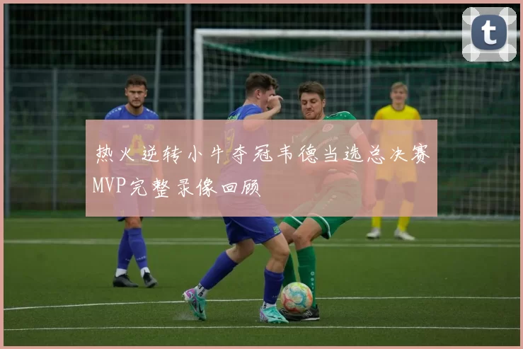 热火逆转小牛夺冠韦德当选总决赛MVP完整录像回顾
