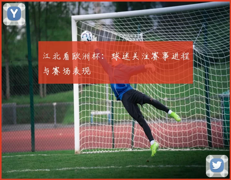 江北看欧洲杯：球迷关注赛事进程与赛场表现