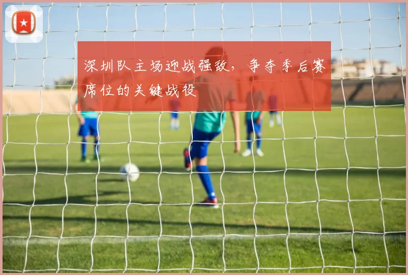 深圳队主场迎战强敌，争夺季后赛席位的关键战役