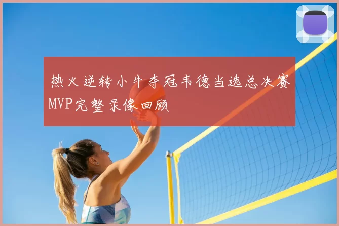 热火逆转小牛夺冠韦德当选总决赛MVP完整录像回顾