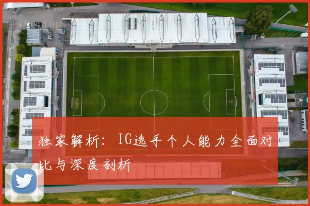独家解析：IG选手个人能力全面对比与深度剖析