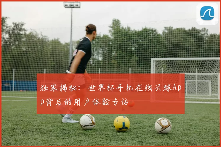 独家揭秘：世界杯手机在线买球App背后的用户体验专访