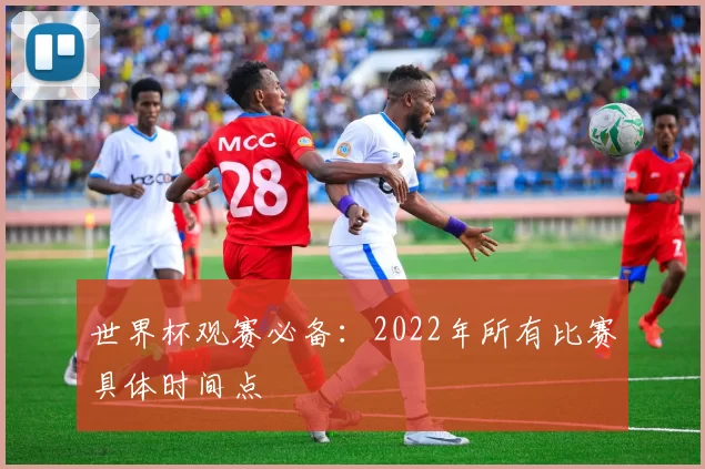 世界杯观赛必备：2022年所有比赛具体时间点