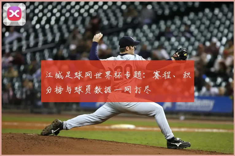 江城足球网世界杯专题：赛程、积分榜与球员数据一网打尽