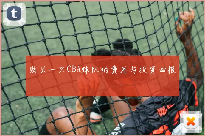 购买一只CBA球队的费用与投资回报