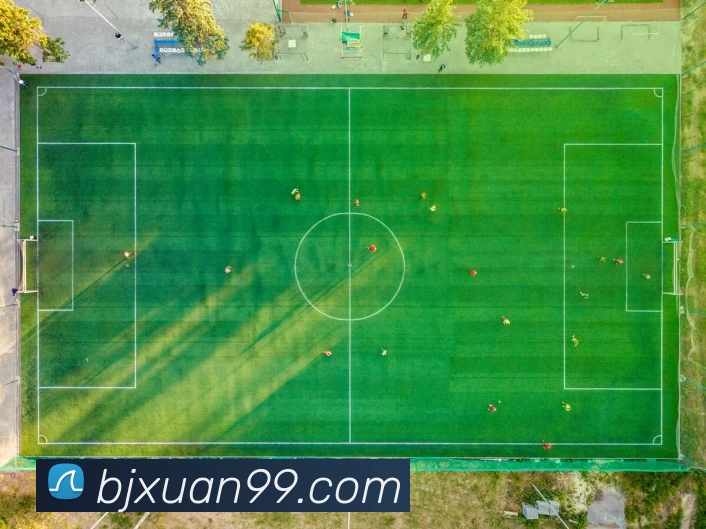 九游体育APP 高清赛事图